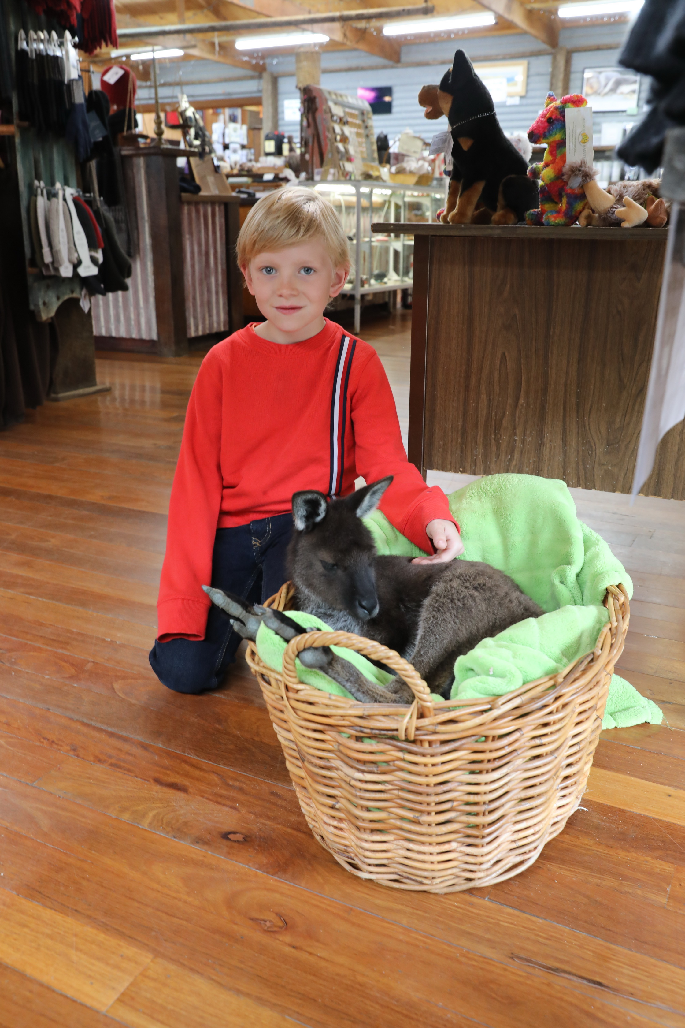 2019 10 04 15 16 04 Canon EOS 5D Mark IV 0027